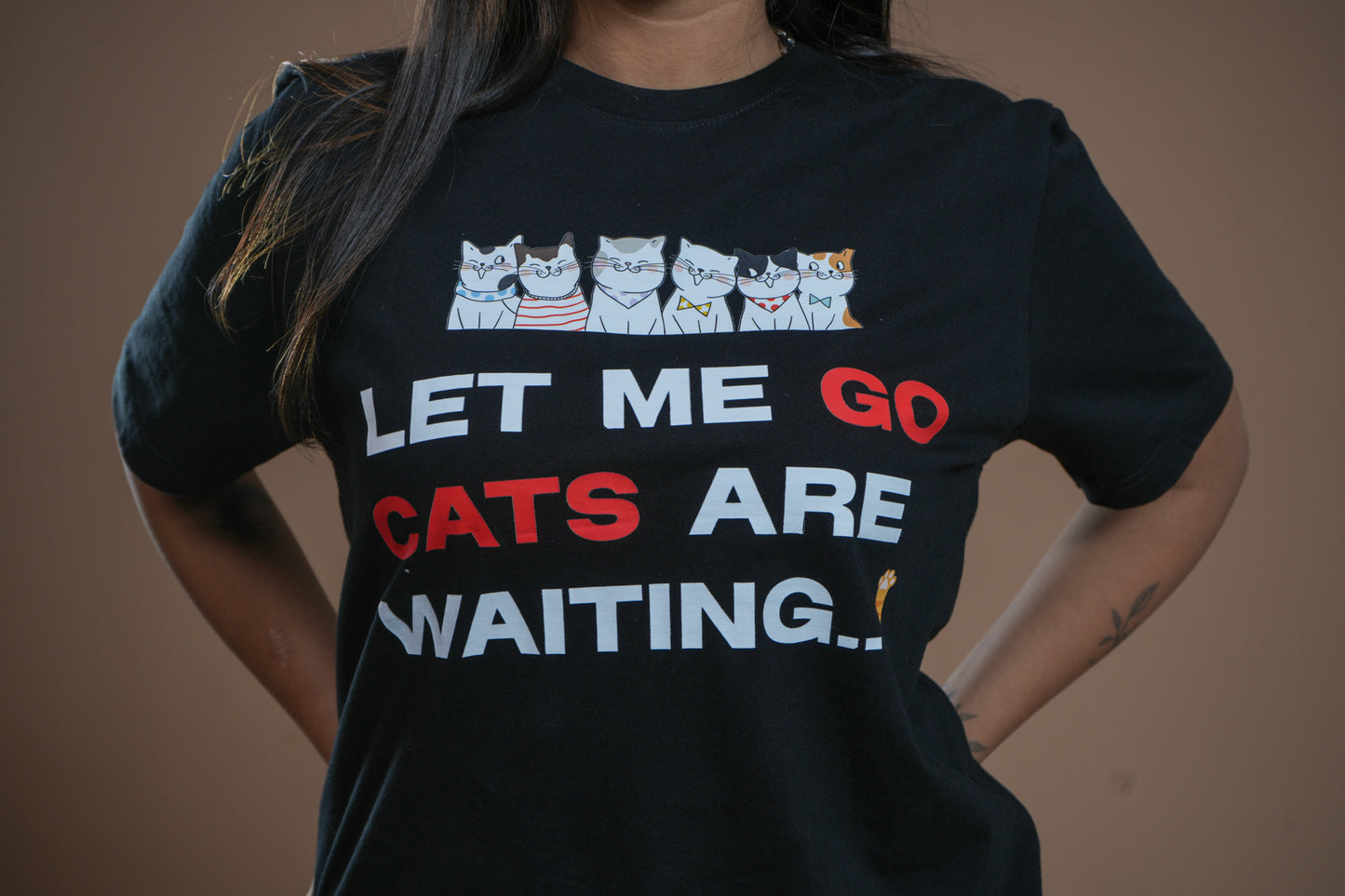Waiting Cat