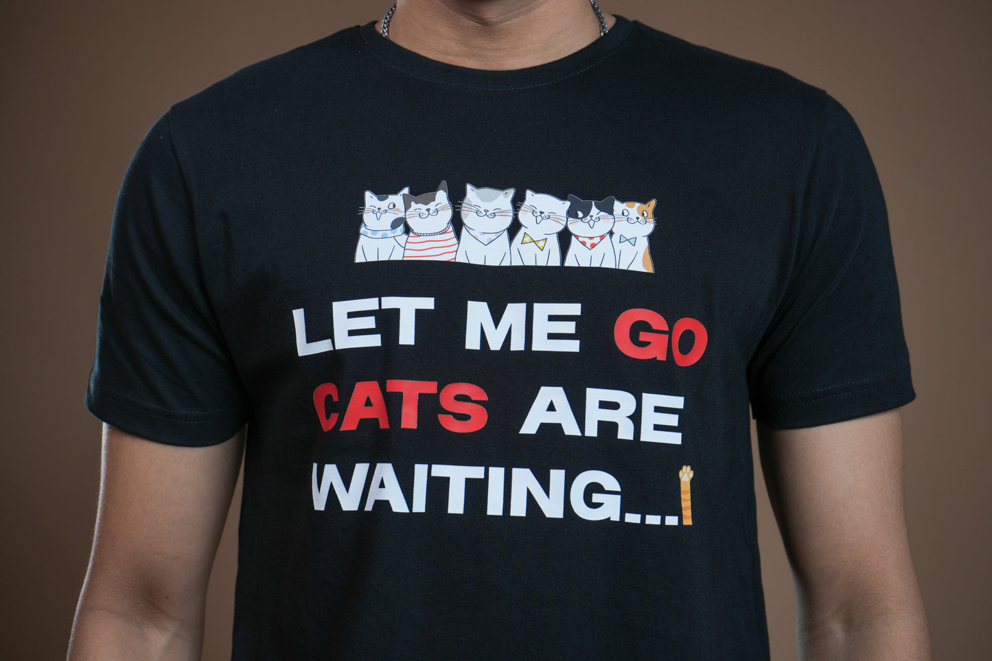 Waiting Cat