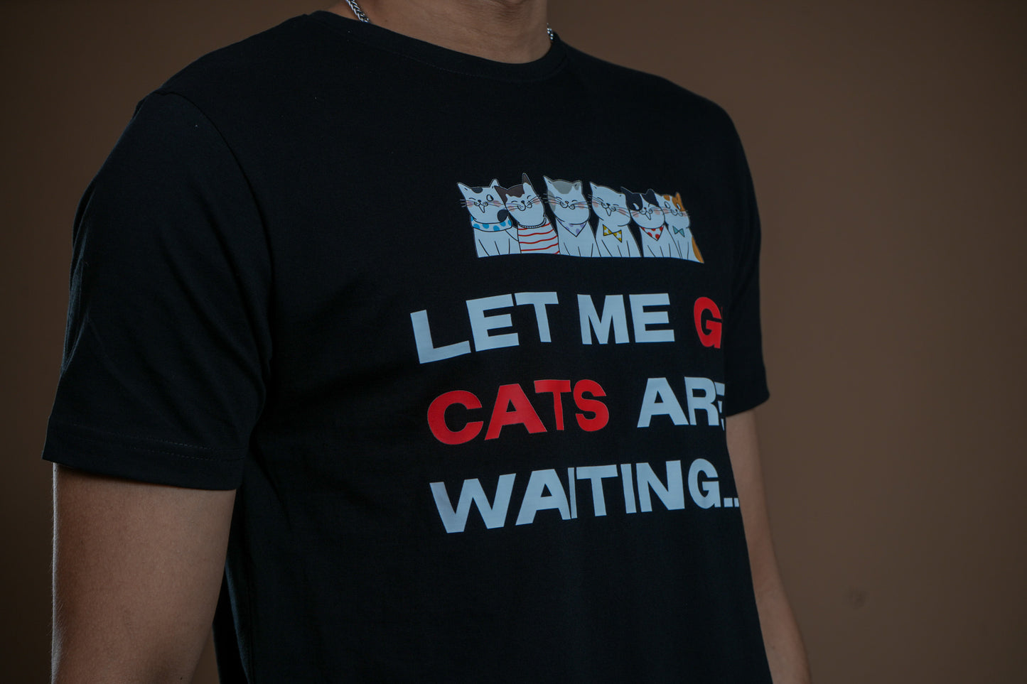 Waiting Cat