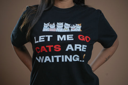 Waiting Cat